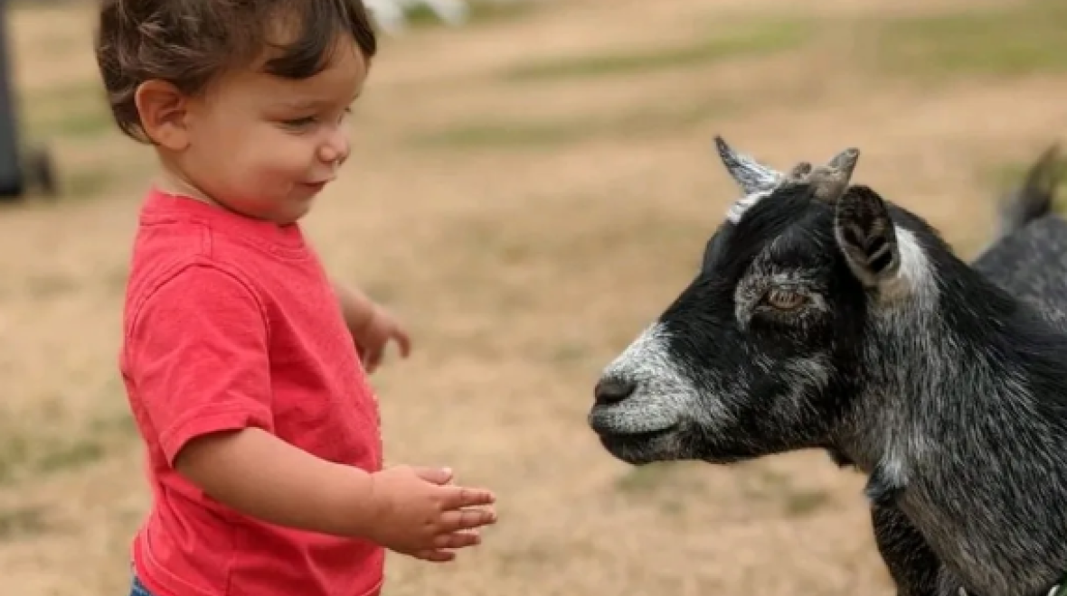 Des Moines Waterland Kids’ Festival Seattle Area Family Fun Calendar